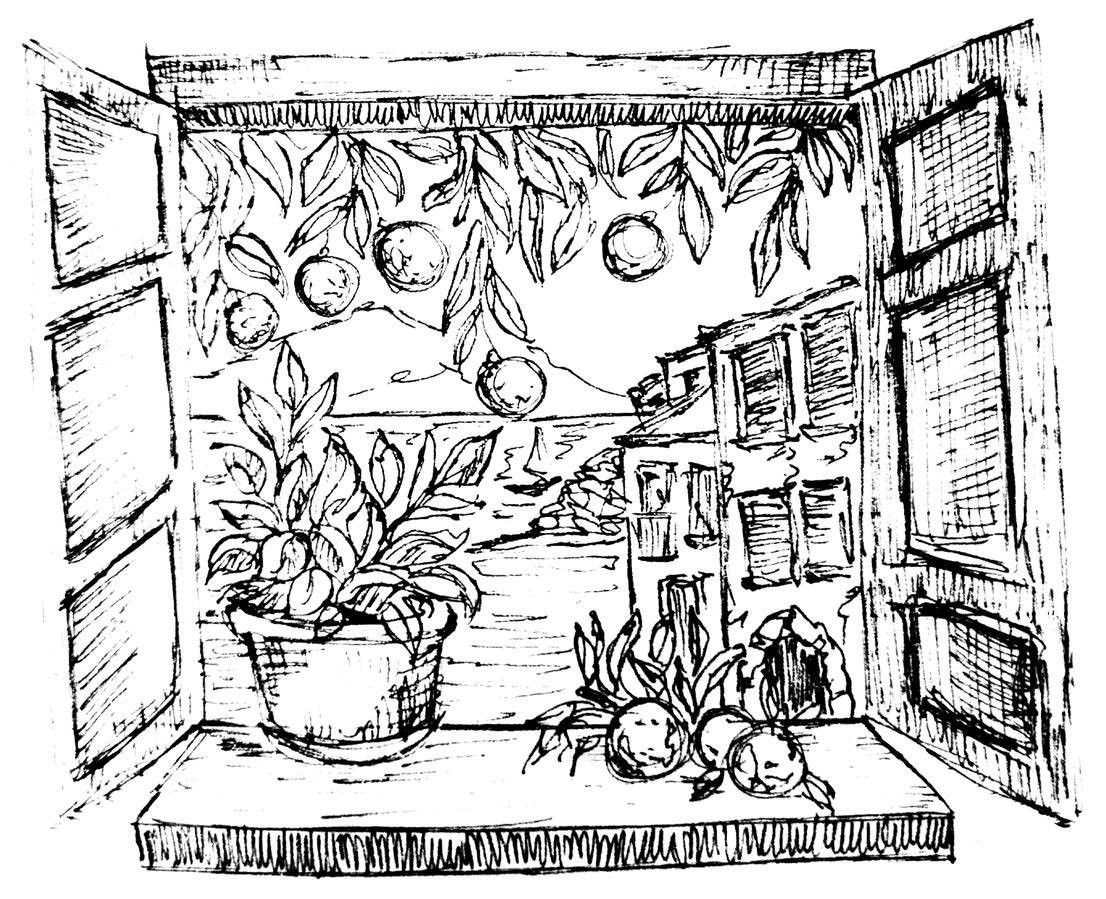 The Window View