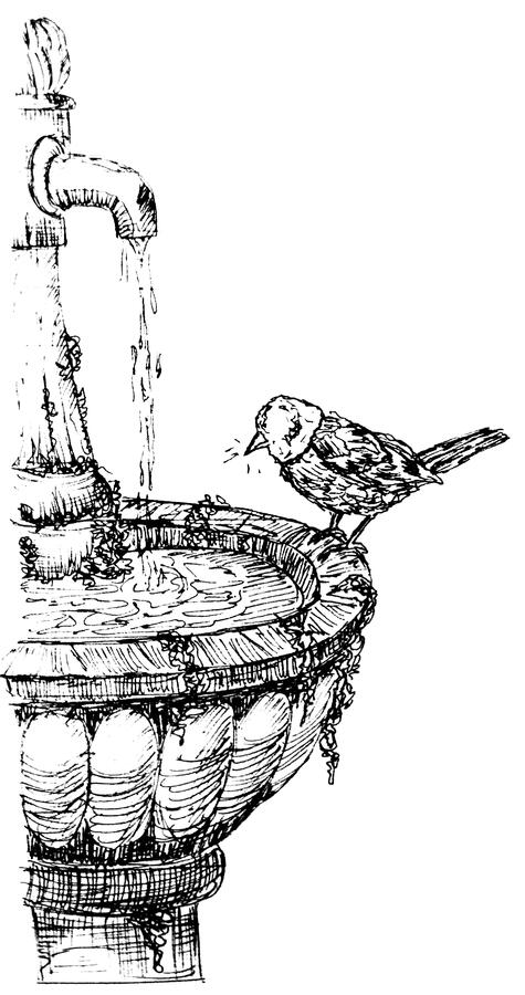 The Fountain