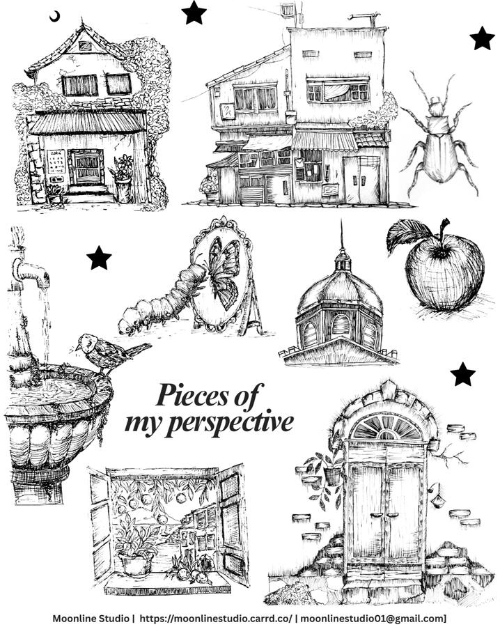 Motifs ( chapter headers, book cover, packaging, branding )